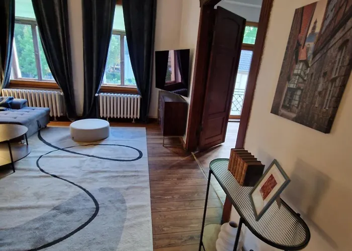 Apartmán Harziano In Der Kaiser-otto-strasse - Stilvolle Gruenderzeitwohnungen Mit Kacheloefen, Wintergarten & Viel Platz Zum Entspannen