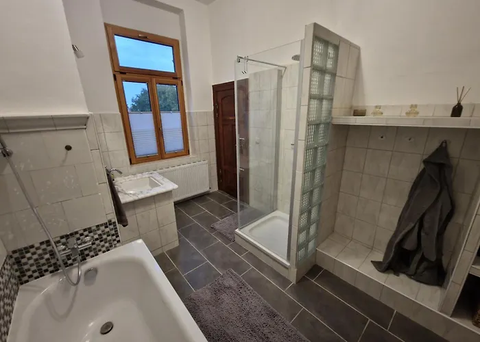 Apartmán Harziano In Der Kaiser-otto-strasse - Stilvolle Gruenderzeitwohnungen Mit Kacheloefen, Wintergarten & Viel Platz Zum Entspannen